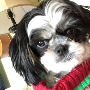 Meet your Posher, Hannah